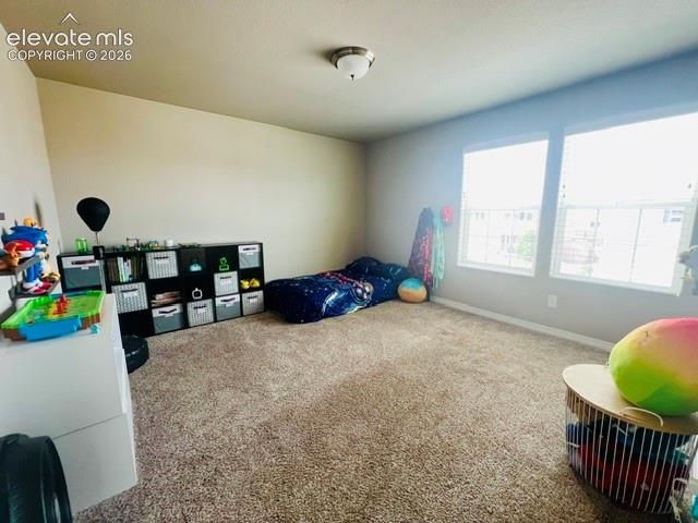7219 Silver Moon Drive, Colorado Springs, CO 80923