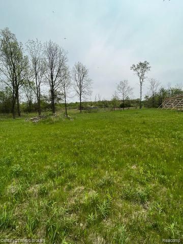 0 N Irish Road, Davison, MI 48423