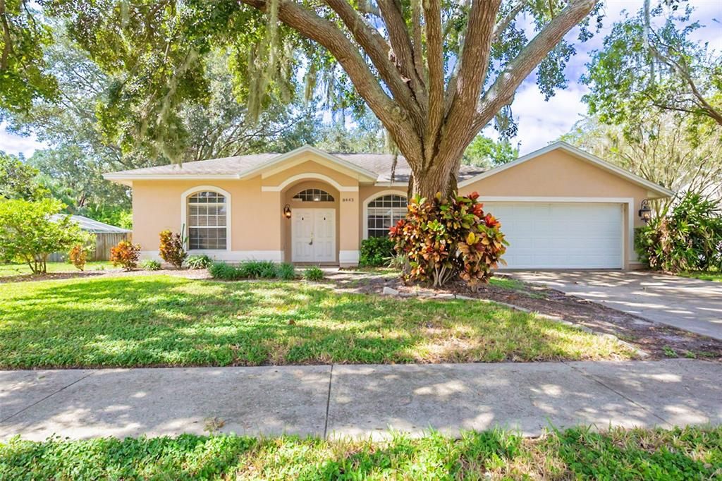 8443 RIDGEBROOK CIRCLE, Odessa, FL 33556