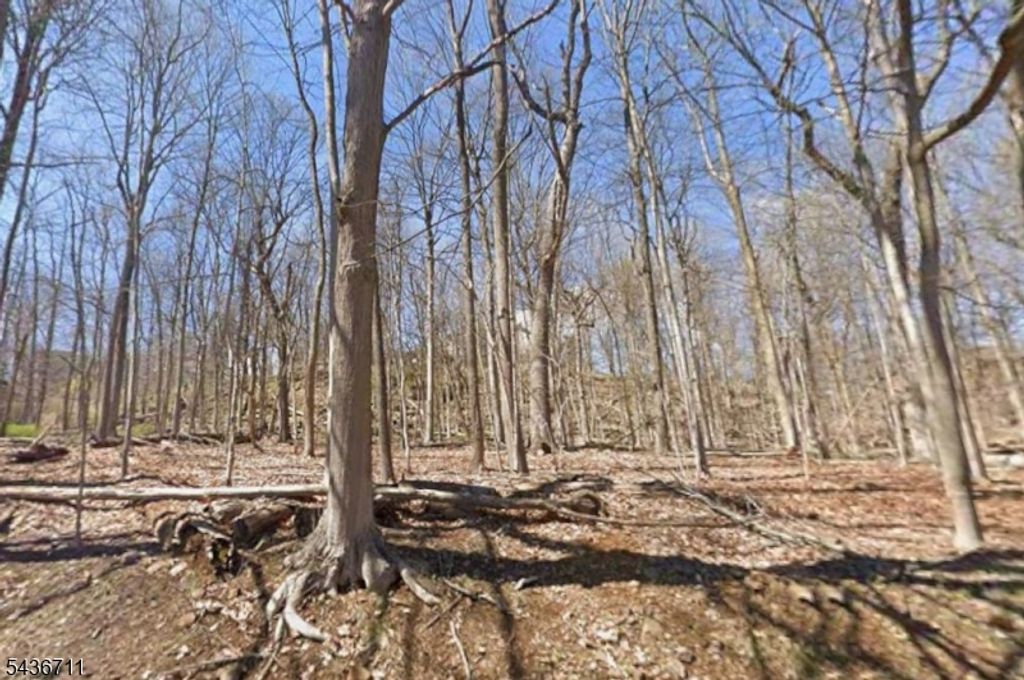 845 Johnston Dr, Watchung Boro, NJ 07069 — exterior