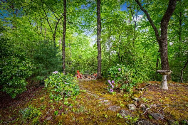 66 Windy Hill Drive, Cherry Log, GA 30522