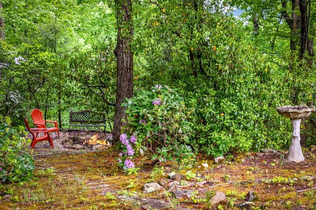 66 Windy Hill Drive, Cherry Log, GA 30522