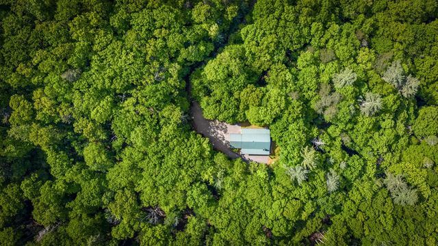 66 Windy Hill Drive, Cherry Log, GA 30522