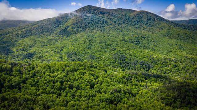 66 Windy Hill Drive, Cherry Log, GA 30522
