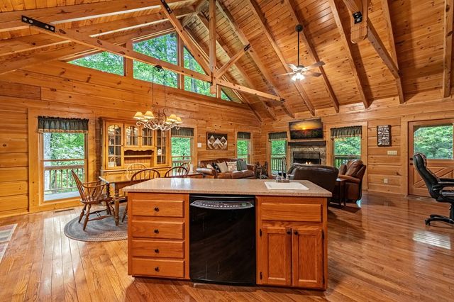 66 Windy Hill Drive, Cherry Log, GA 30522