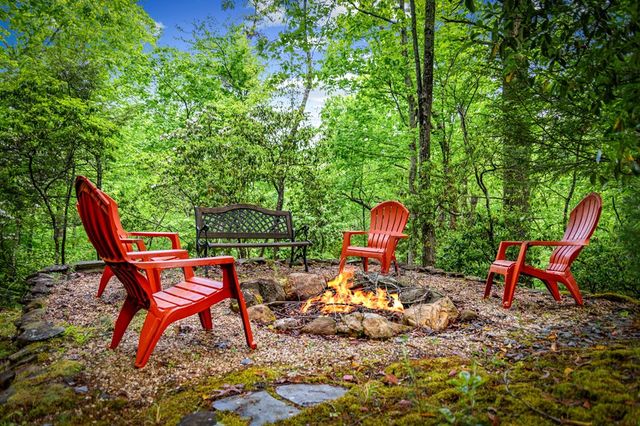 66 Windy Hill Drive, Cherry Log, GA 30522
