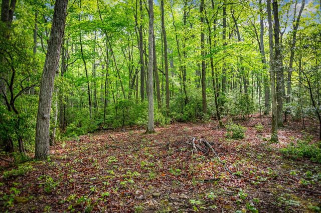 66 Windy Hill Drive, Cherry Log, GA 30522