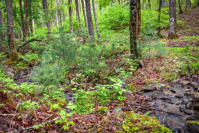 66 Windy Hill Drive, Cherry Log, GA 30522