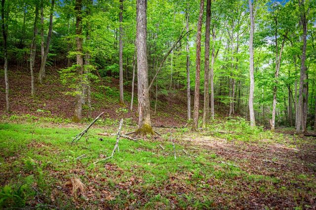 66 Windy Hill Drive, Cherry Log, GA 30522