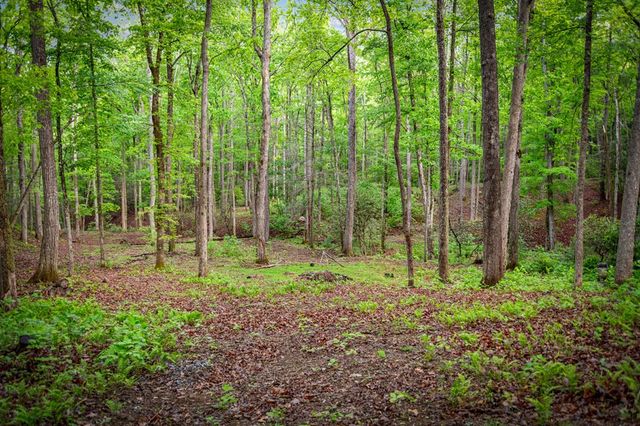 66 Windy Hill Drive, Cherry Log, GA 30522