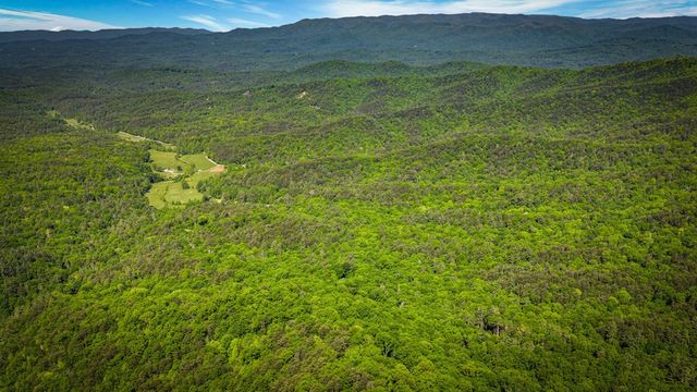66 Windy Hill Drive, Cherry Log, GA 30522