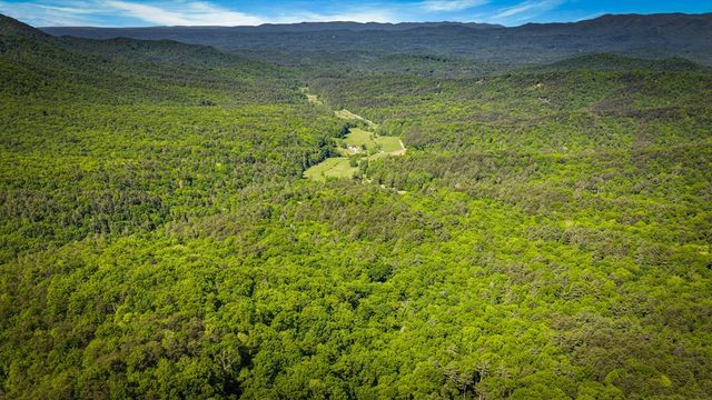 66 Windy Hill Drive, Cherry Log, GA 30522