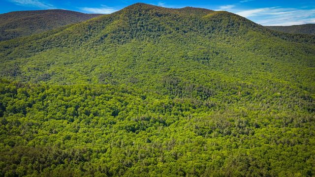 66 Windy Hill Drive, Cherry Log, GA 30522