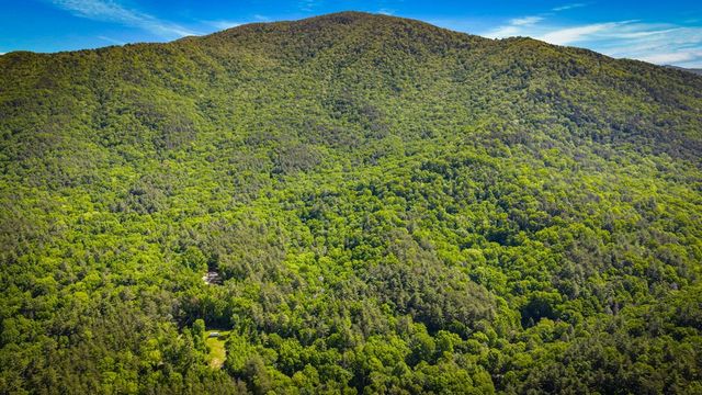 66 Windy Hill Drive, Cherry Log, GA 30522