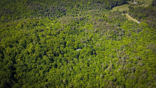 66 Windy Hill Drive, Cherry Log, GA 30522