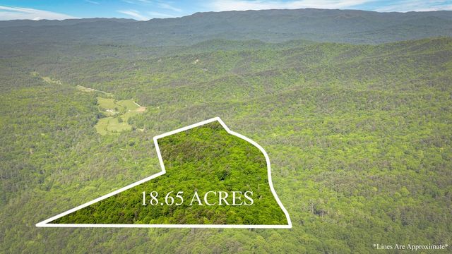 66 Windy Hill Drive, Cherry Log, GA 30522