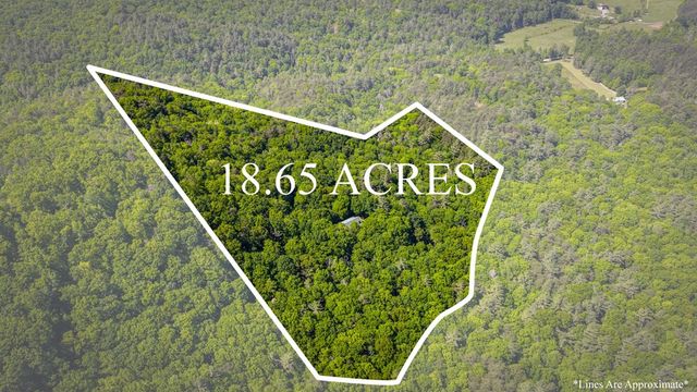 66 Windy Hill Drive, Cherry Log, GA 30522