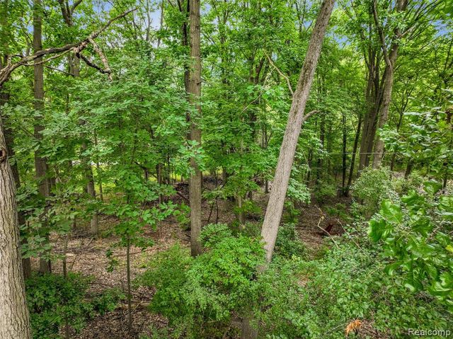 24800 N Cromwell Drive, Franklin, MI 48025