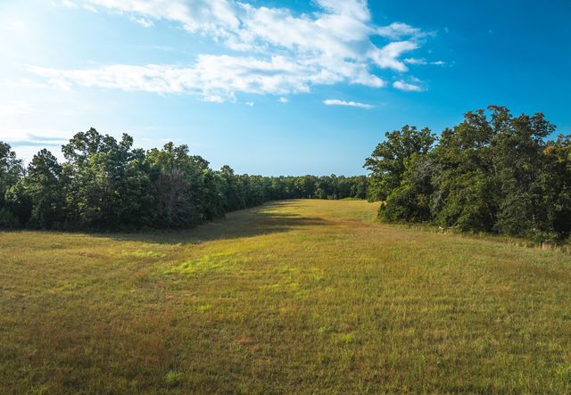 658 Rr 63, Cabool, MO 65689