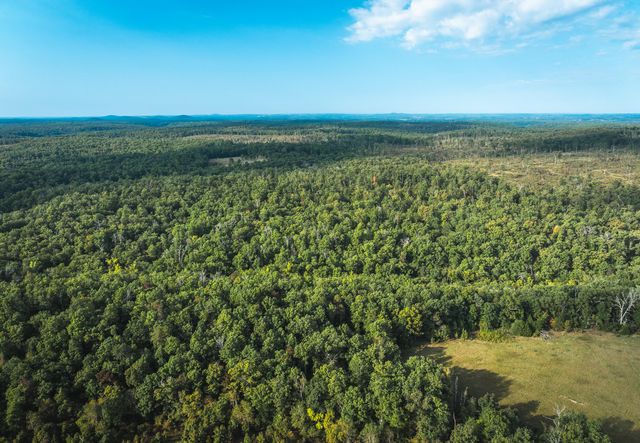 658 Rr 63, Cabool, MO 65689