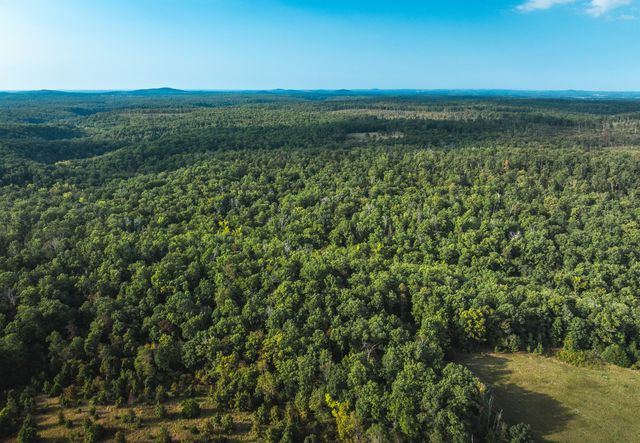 658 Rr 63, Cabool, MO 65689