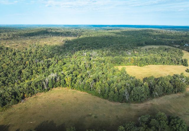 658 Rr 63, Cabool, MO 65689