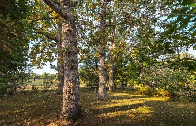 658 Rr 63, Cabool, MO 65689