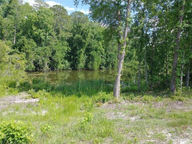 0000 EAGLE BOULEVARD, Land O Lakes, FL 34639