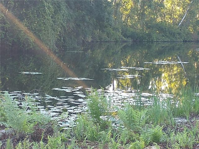 0000 EAGLE BOULEVARD, Land O Lakes, FL 34639