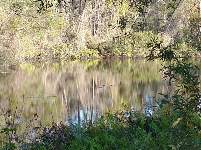 0000 EAGLE BOULEVARD, Land O Lakes, FL 34639
