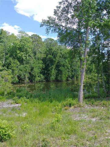 0000 EAGLE BOULEVARD, Land O Lakes, FL 34639