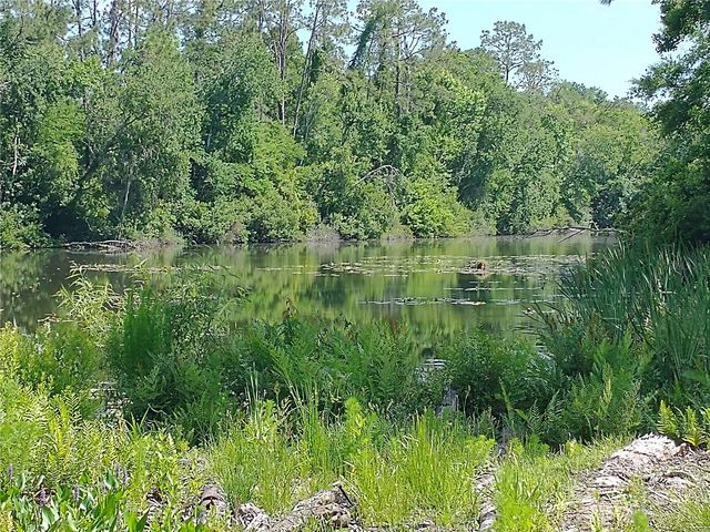 0000 EAGLE BOULEVARD, Land O Lakes, FL 34639