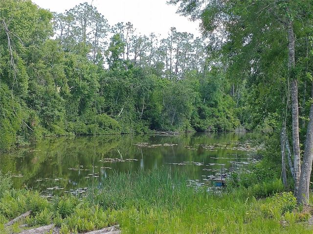 0000 EAGLE BOULEVARD, Land O Lakes, FL 34639