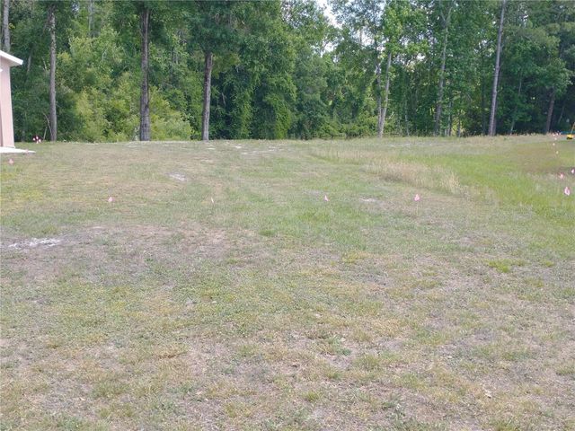 0000 EAGLE BOULEVARD, Land O Lakes, FL 34639