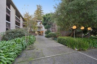 323 Monte Vista Avenue 203, Oakland, CA 94611