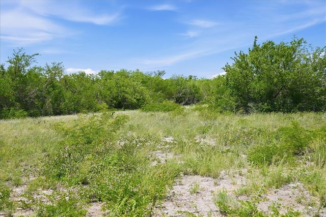 731 County Road 325, George West, TX 78022