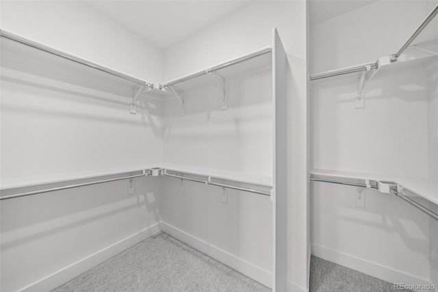 8735 Whiteclover Street, Littleton, CO 80125