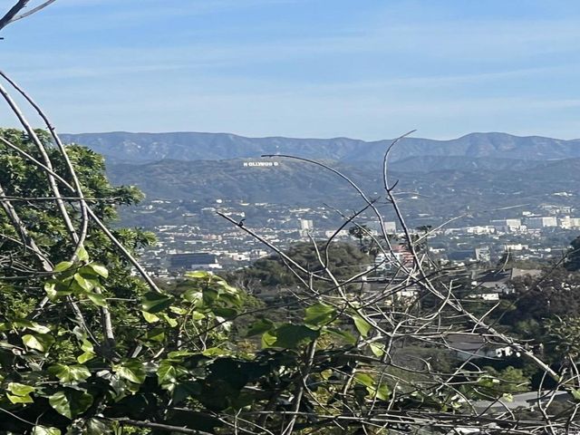 2798 McConnel, Other, CA 90064