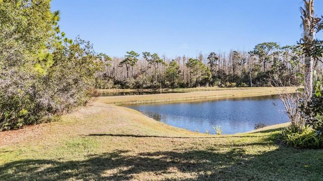 8506 EAGLE BROOK DRIVE, Land O Lakes, FL 34638