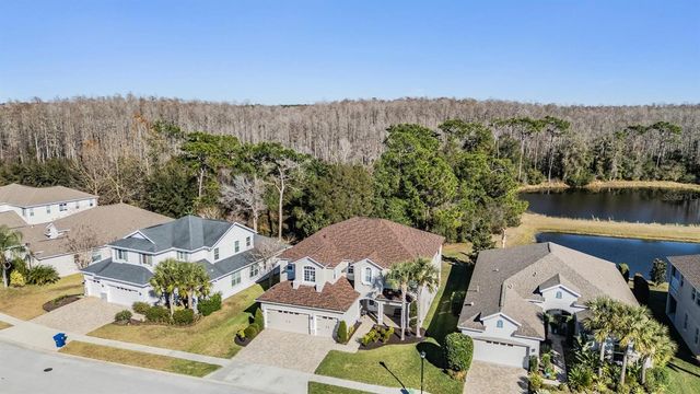 8506 EAGLE BROOK DRIVE, Land O Lakes, FL 34638