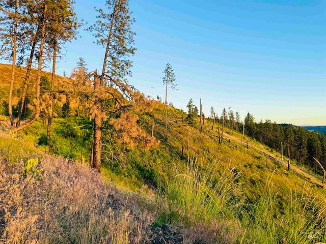 TBD Lot #2 Beaverslide Rd, Kamiah, ID 83536
