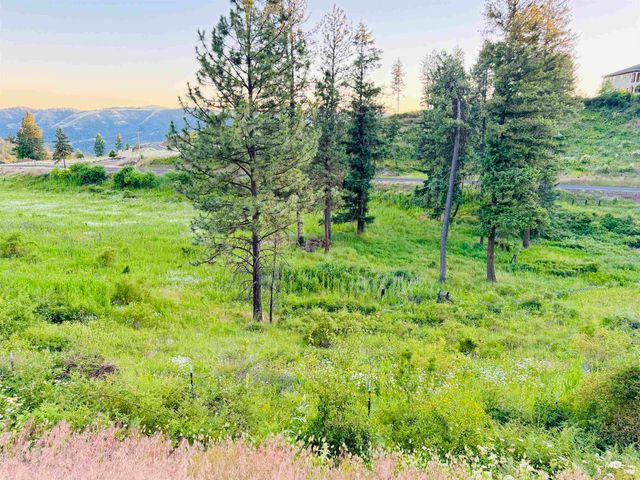 TBD Lot #2 Beaverslide Rd, Kamiah, ID 83536