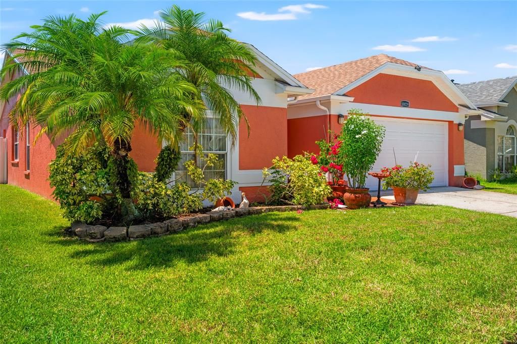 10029 CEDAR DUNE DRIVE, Tampa, FL 33624