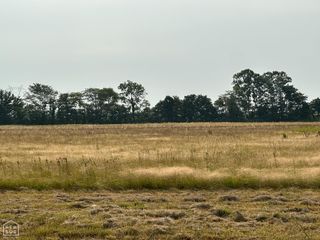 8 Highway 163 Acres, Jonesboro, AR 72404