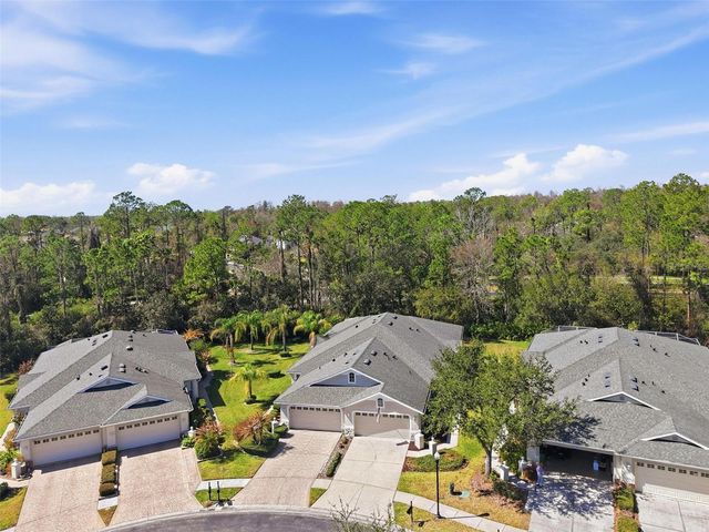 3252 CHAPEL CREEK CIRCLE, Wesley Chapel, FL 33544