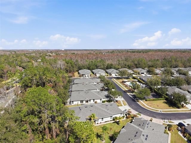 3252 CHAPEL CREEK CIRCLE, Wesley Chapel, FL 33544