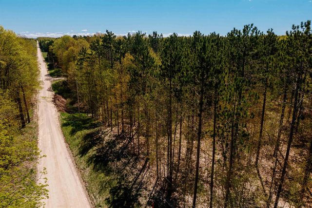 Parcel A Rahe Road, Mayfield Twp, MI 49649