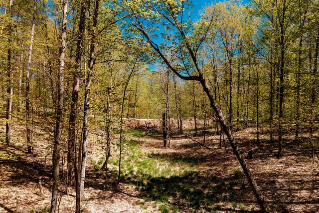 Parcel A Rahe Road, Mayfield Twp, MI 49649