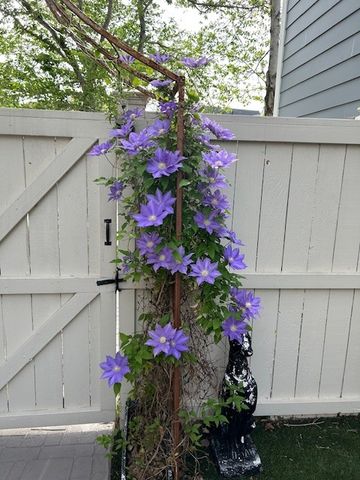 328 Starling Ln, Franklin, TN 37064