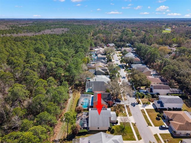 1703 BAYHILL DRIVE, Oldsmar, FL 34677